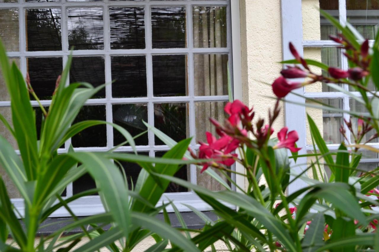 Maison D'Hotes La Chouanniere Bed & Breakfast Les Bois-d'Anjou Exterior photo