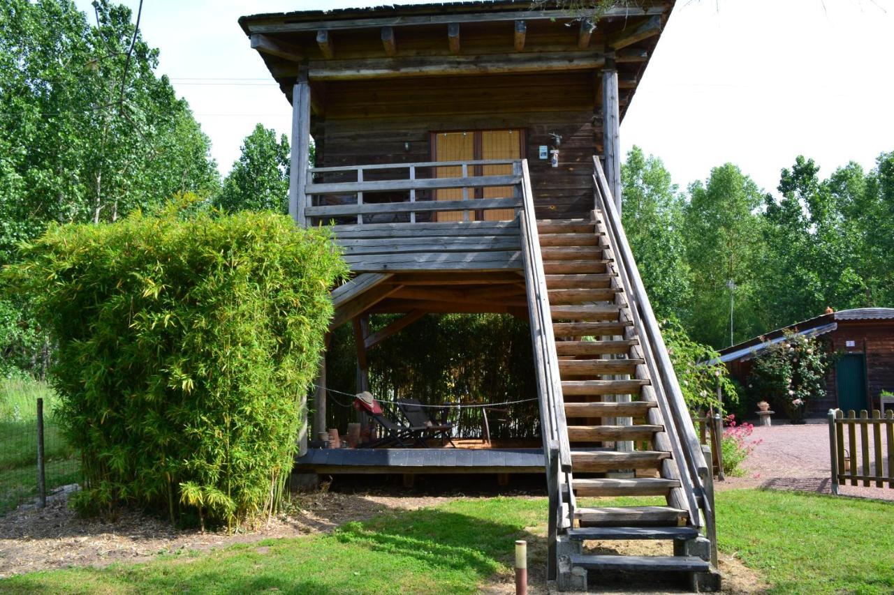 Maison D'Hotes La Chouanniere Bed & Breakfast Les Bois-d'Anjou Exterior photo