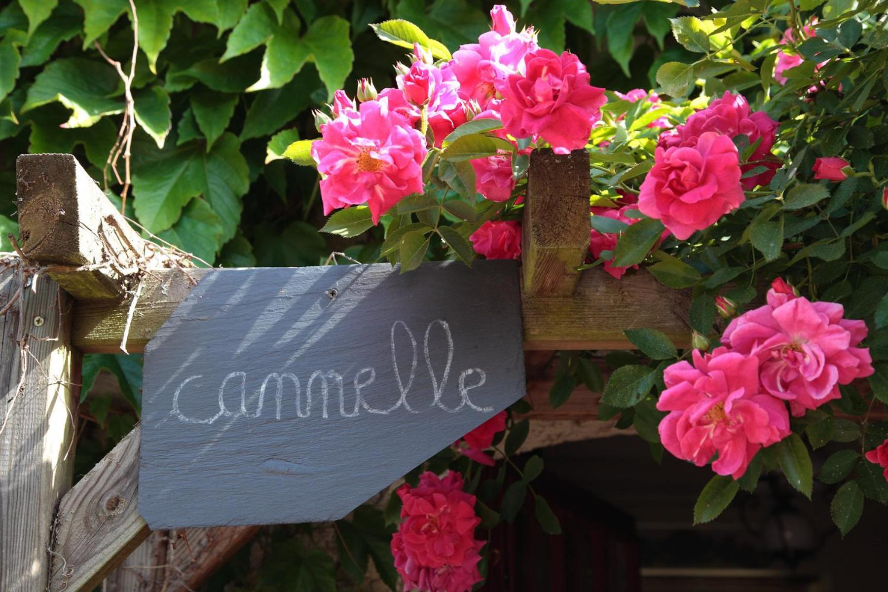 Maison D'Hotes La Chouanniere Bed & Breakfast Les Bois-d'Anjou Exterior photo