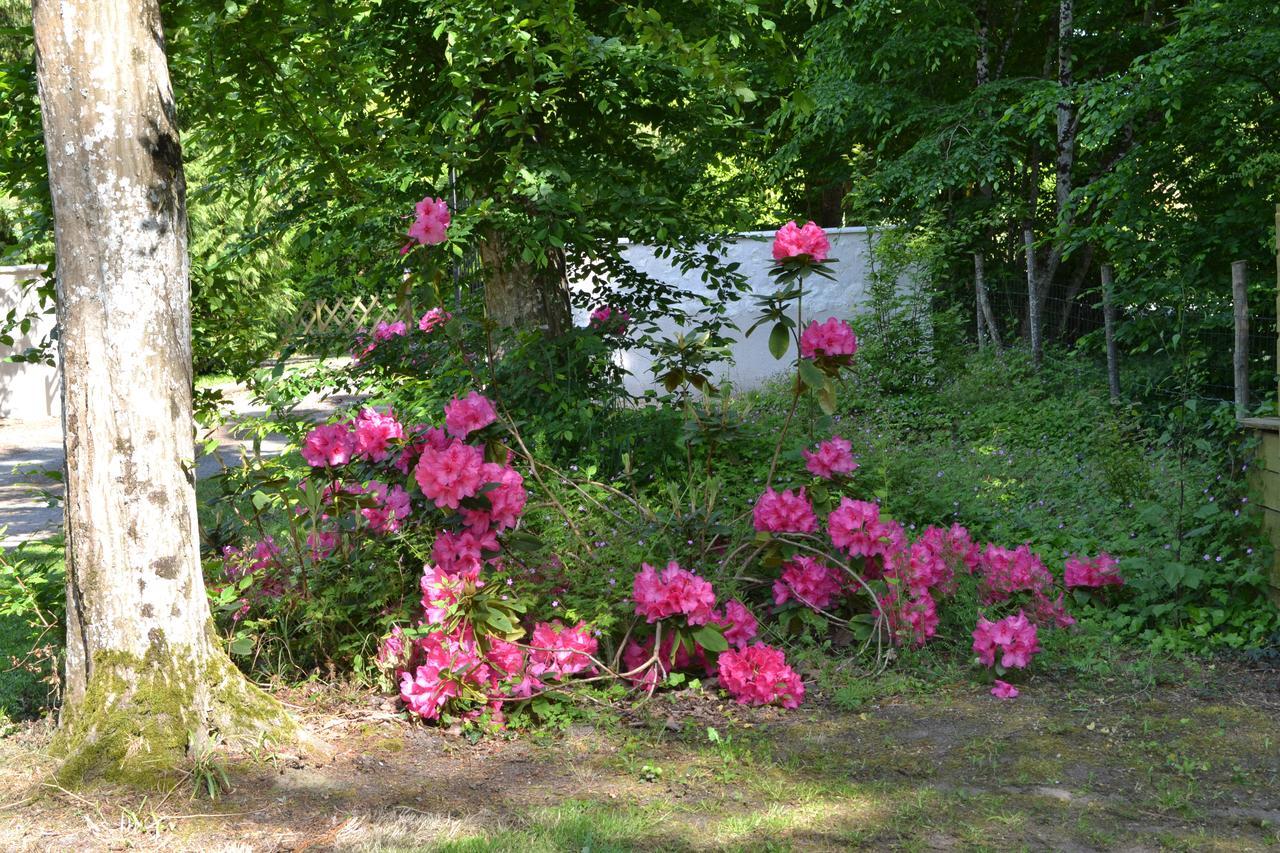 Maison D'Hotes La Chouanniere Bed & Breakfast Les Bois-d'Anjou Exterior photo